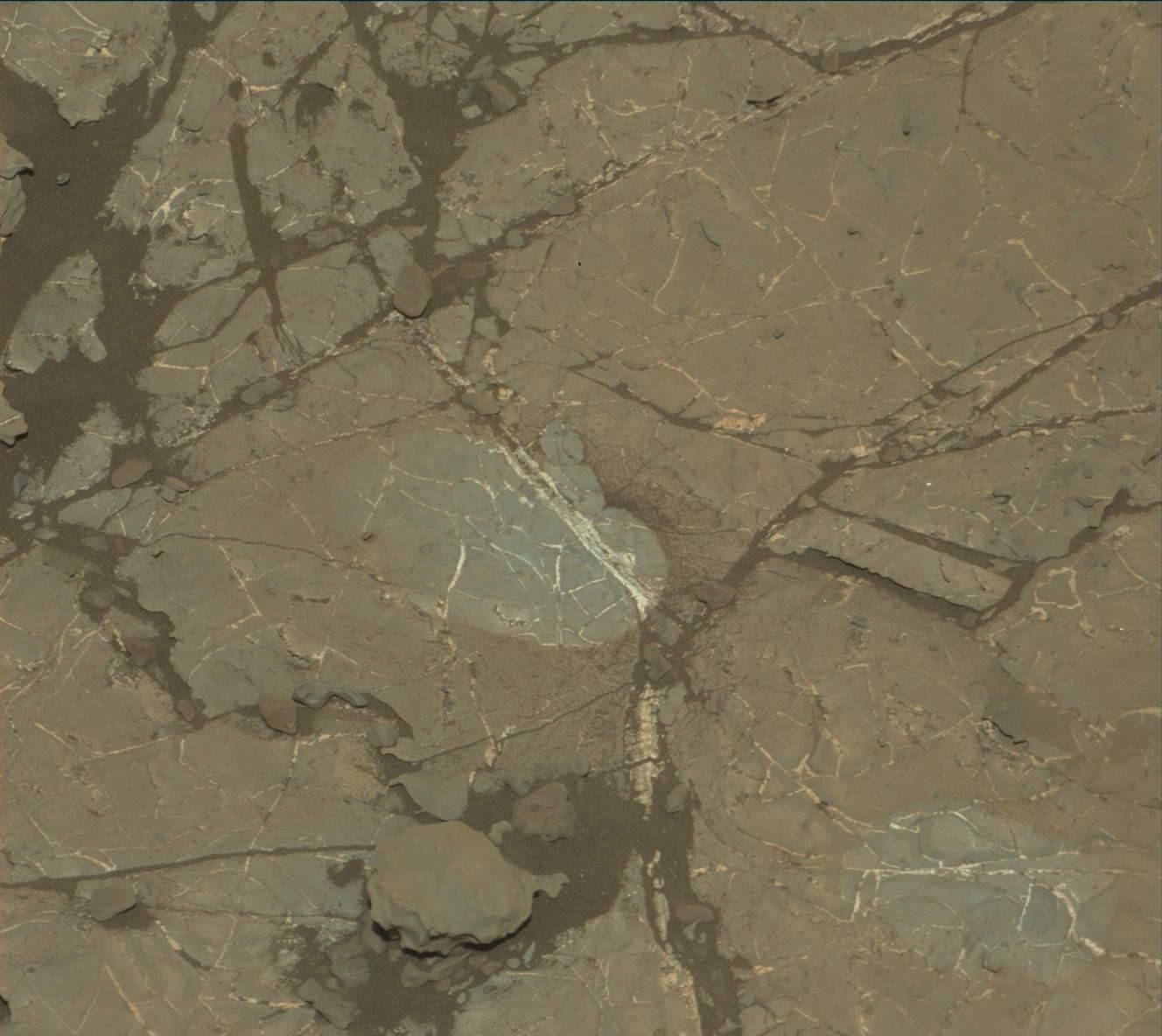 Nasa's Mars rover Curiosity acquired this image using its Mast Camera (Mastcam) on Sol 1938
