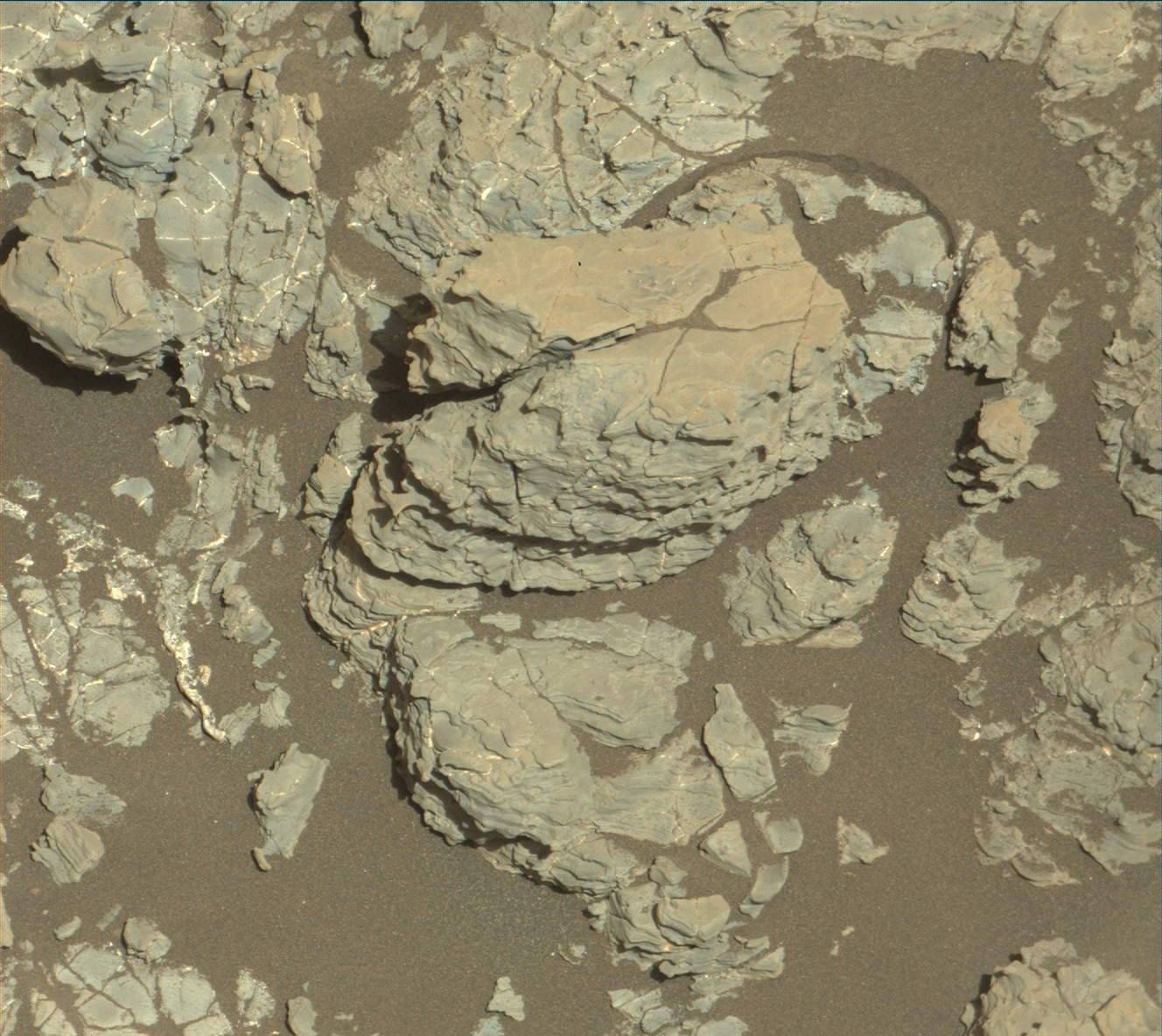 Nasa's Mars rover Curiosity acquired this image using its Mast Camera (Mastcam) on Sol 1938