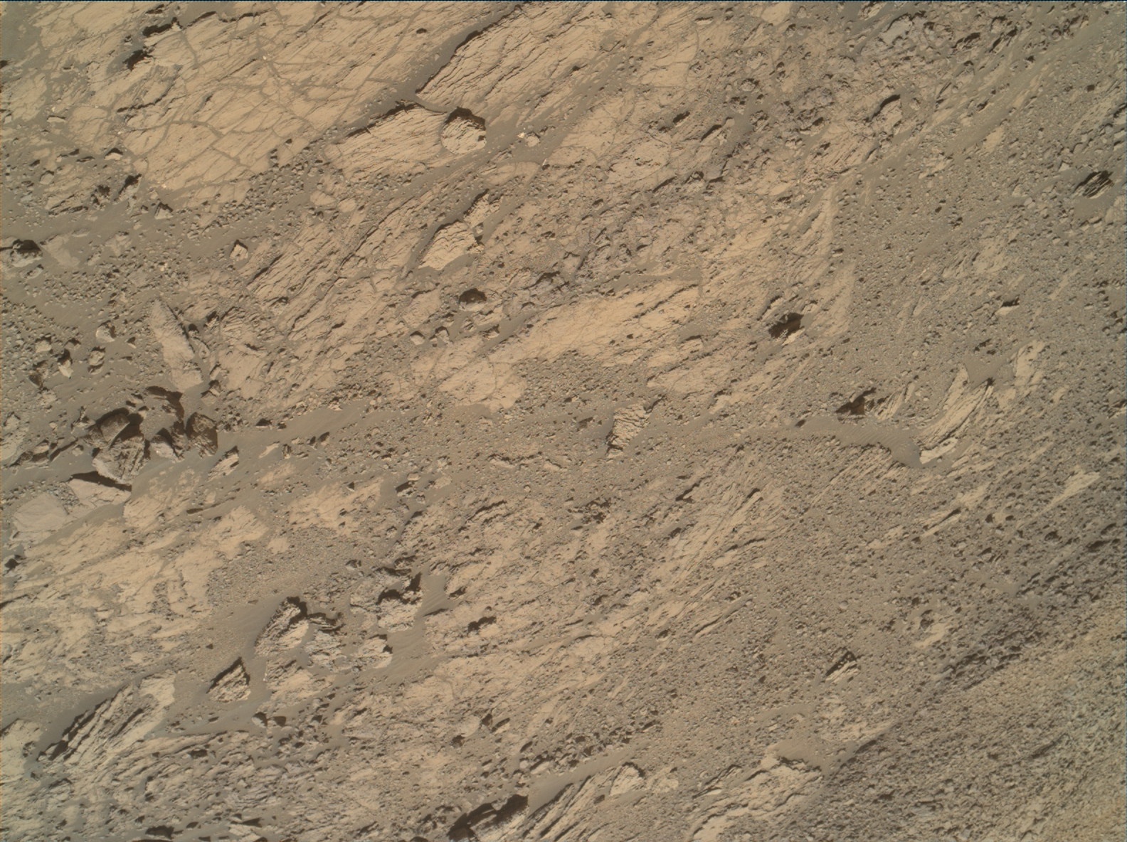 Nasa's Mars rover Curiosity acquired this image using its Mars Hand Lens Imager (MAHLI) on Sol 1943