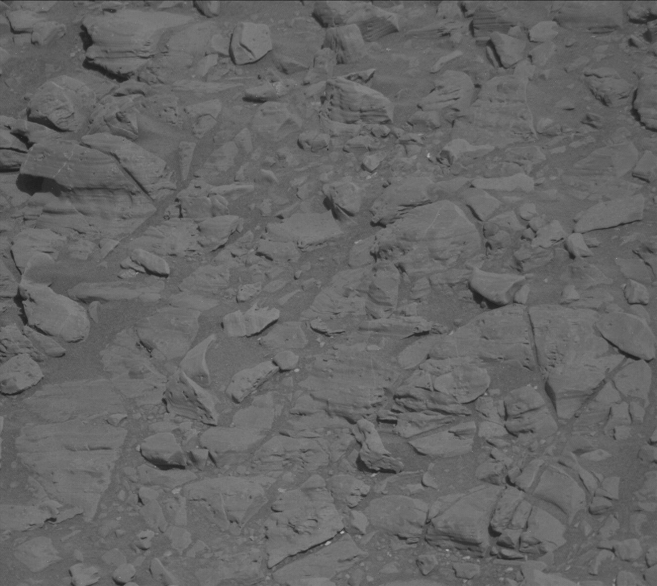 Nasa's Mars rover Curiosity acquired this image using its Mast Camera (Mastcam) on Sol 1945