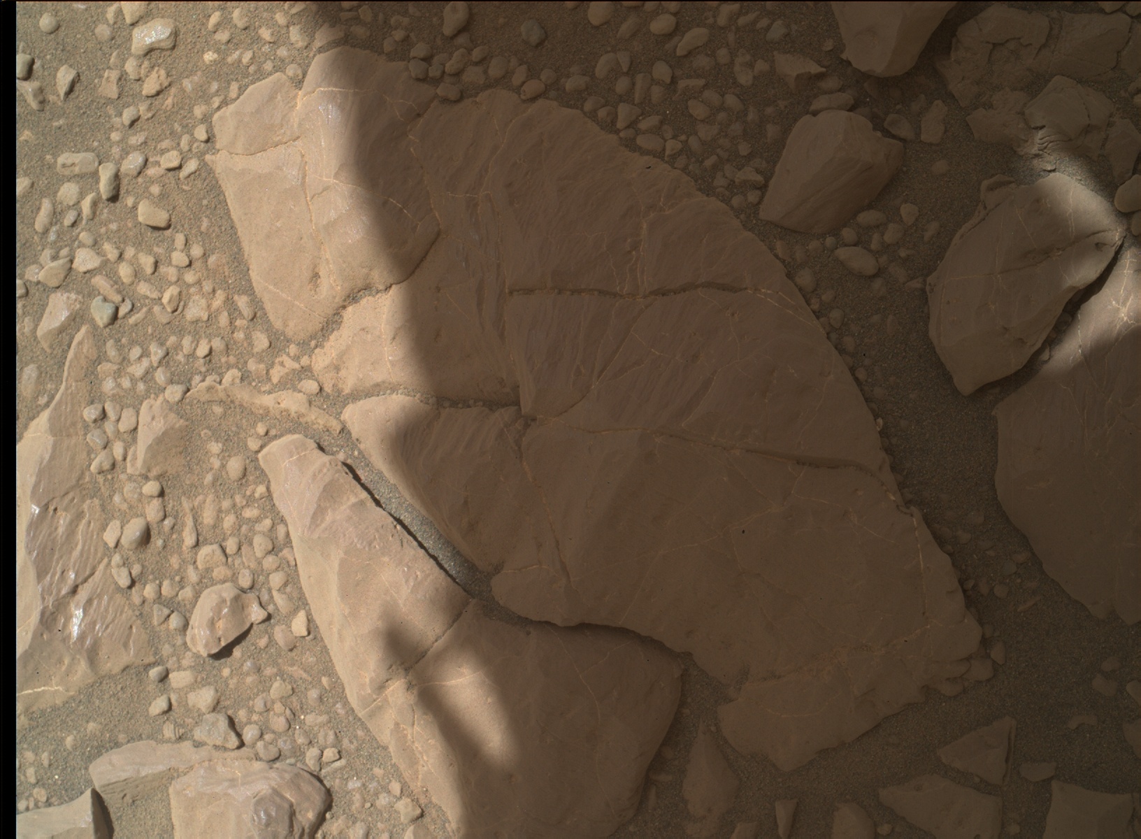 Nasa's Mars rover Curiosity acquired this image using its Mars Hand Lens Imager (MAHLI) on Sol 1954