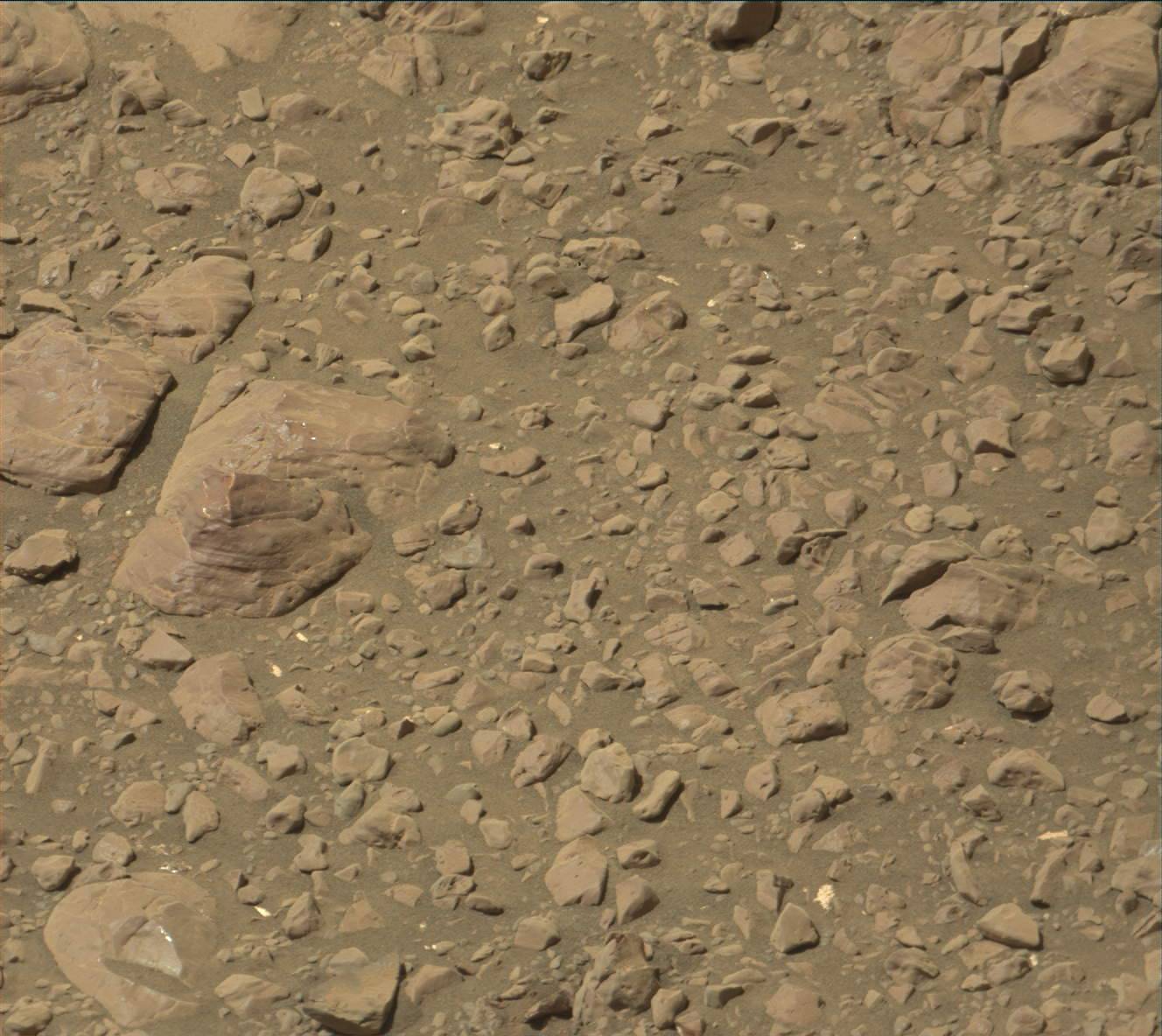 Nasa's Mars rover Curiosity acquired this image using its Mast Camera (Mastcam) on Sol 1959