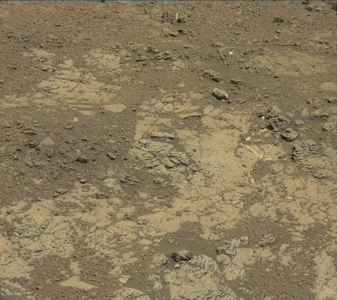 Nasa's Mars rover Curiosity acquired this image using its Mast Camera (Mastcam) on Sol 1967