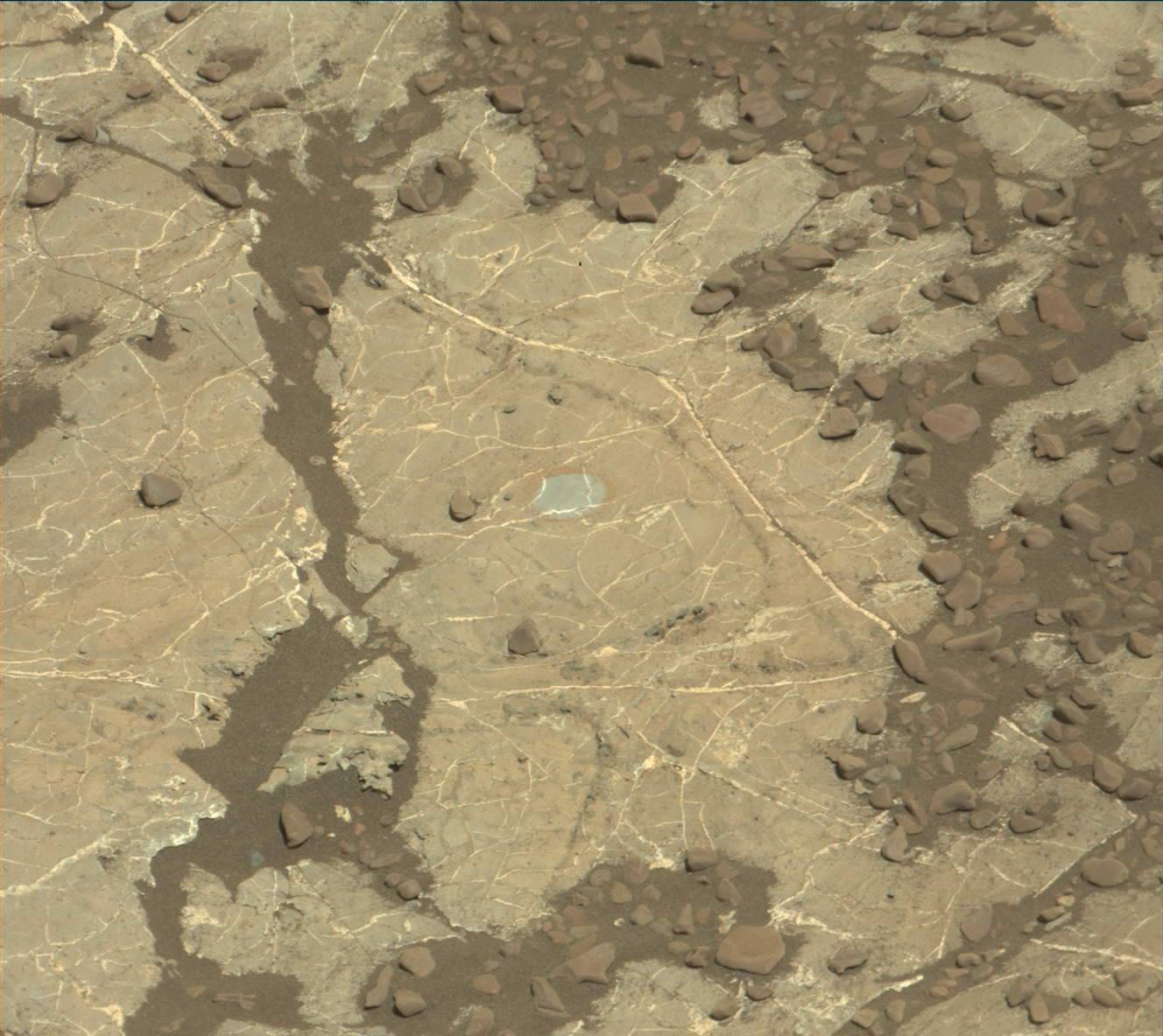 Nasa's Mars rover Curiosity acquired this image using its Mast Camera (Mastcam) on Sol 1969