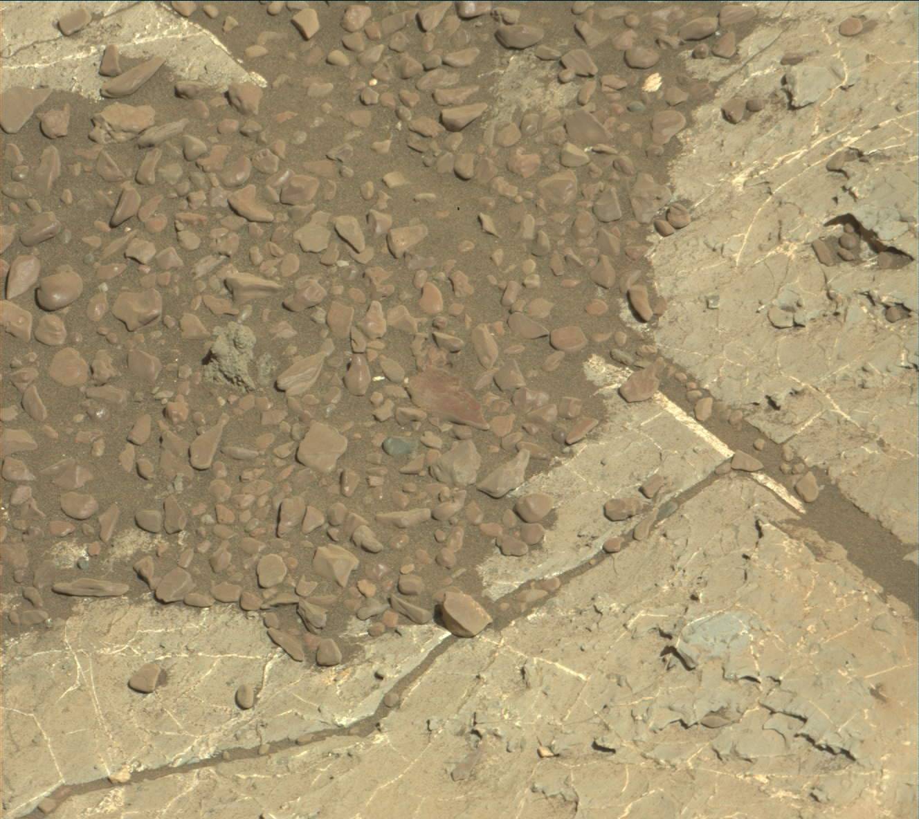 Nasa's Mars rover Curiosity acquired this image using its Mast Camera (Mastcam) on Sol 1970