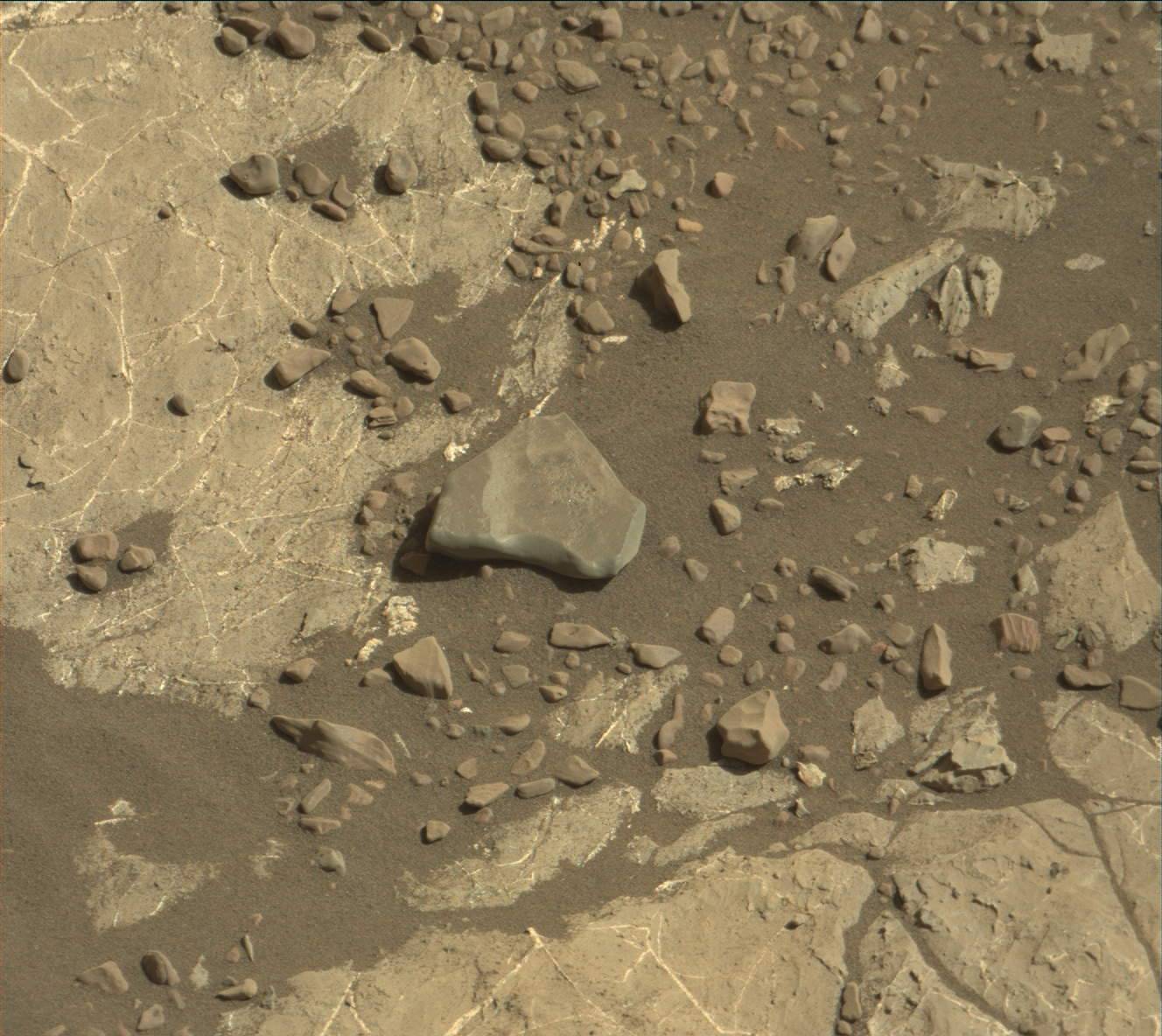 Nasa's Mars rover Curiosity acquired this image using its Mast Camera (Mastcam) on Sol 1971