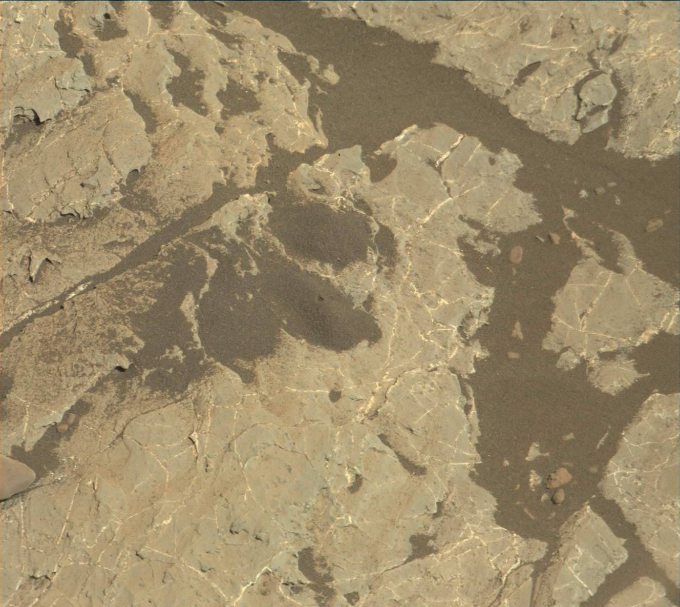 Nasa's Mars rover Curiosity acquired this image using its Mast Camera (Mastcam) on Sol 1972