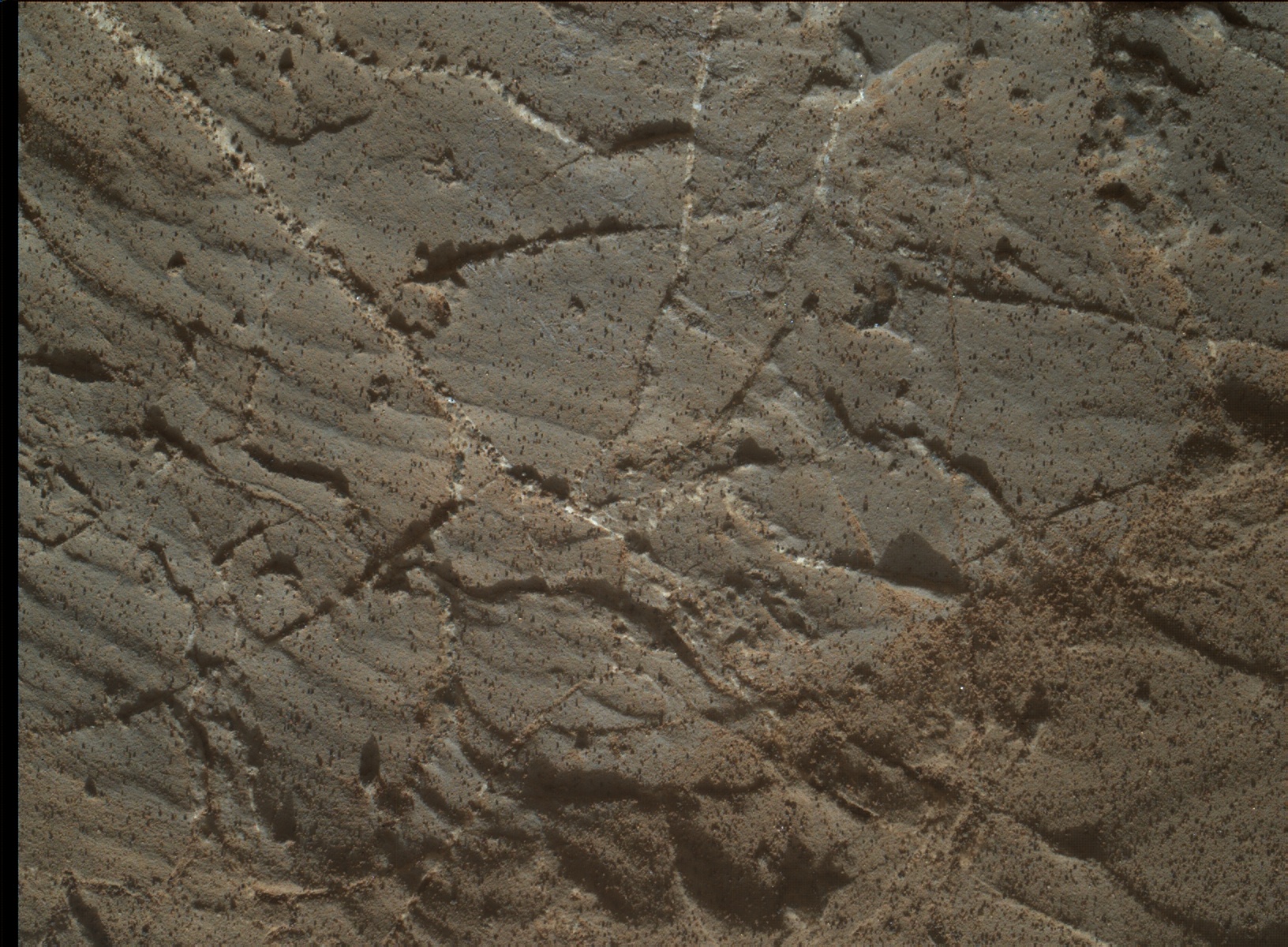 Nasa's Mars rover Curiosity acquired this image using its Mars Hand Lens Imager (MAHLI) on Sol 1972
