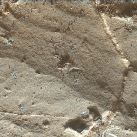 Nasa's Mars rover Curiosity acquired this image using its Mars Hand Lens Imager (MAHLI) on Sol 1974