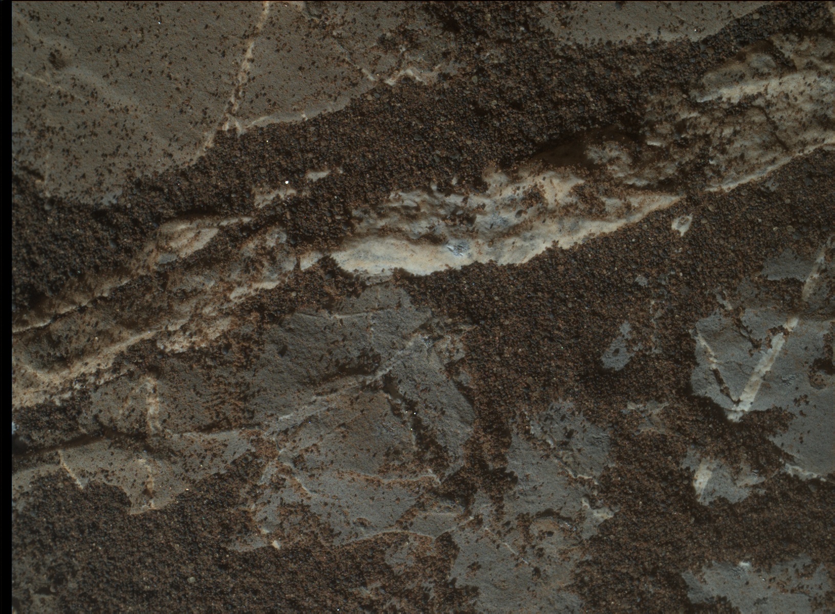 Nasa's Mars rover Curiosity acquired this image using its Mars Hand Lens Imager (MAHLI) on Sol 1975
