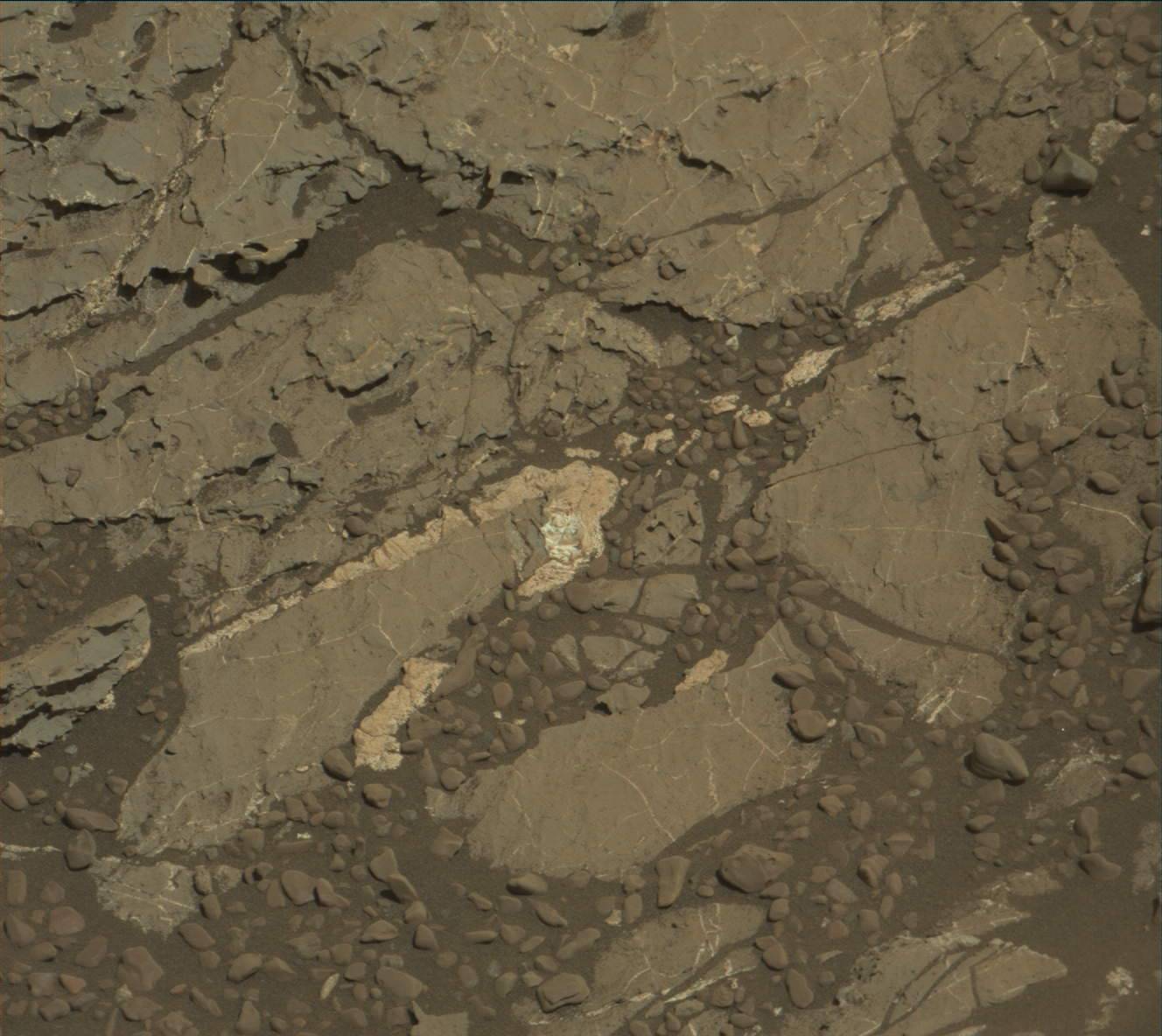 Nasa's Mars rover Curiosity acquired this image using its Mast Camera (Mastcam) on Sol 1978