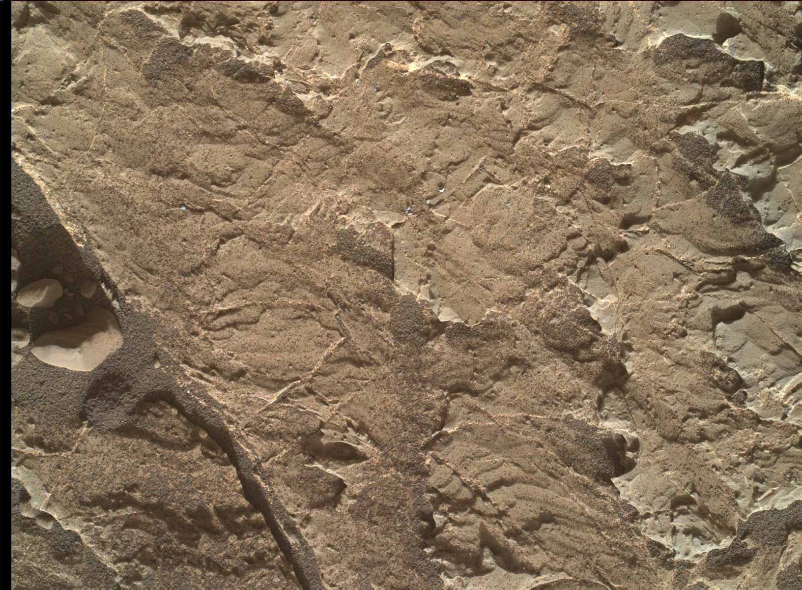 Nasa's Mars rover Curiosity acquired this image using its Mars Hand Lens Imager (MAHLI) on Sol 1979