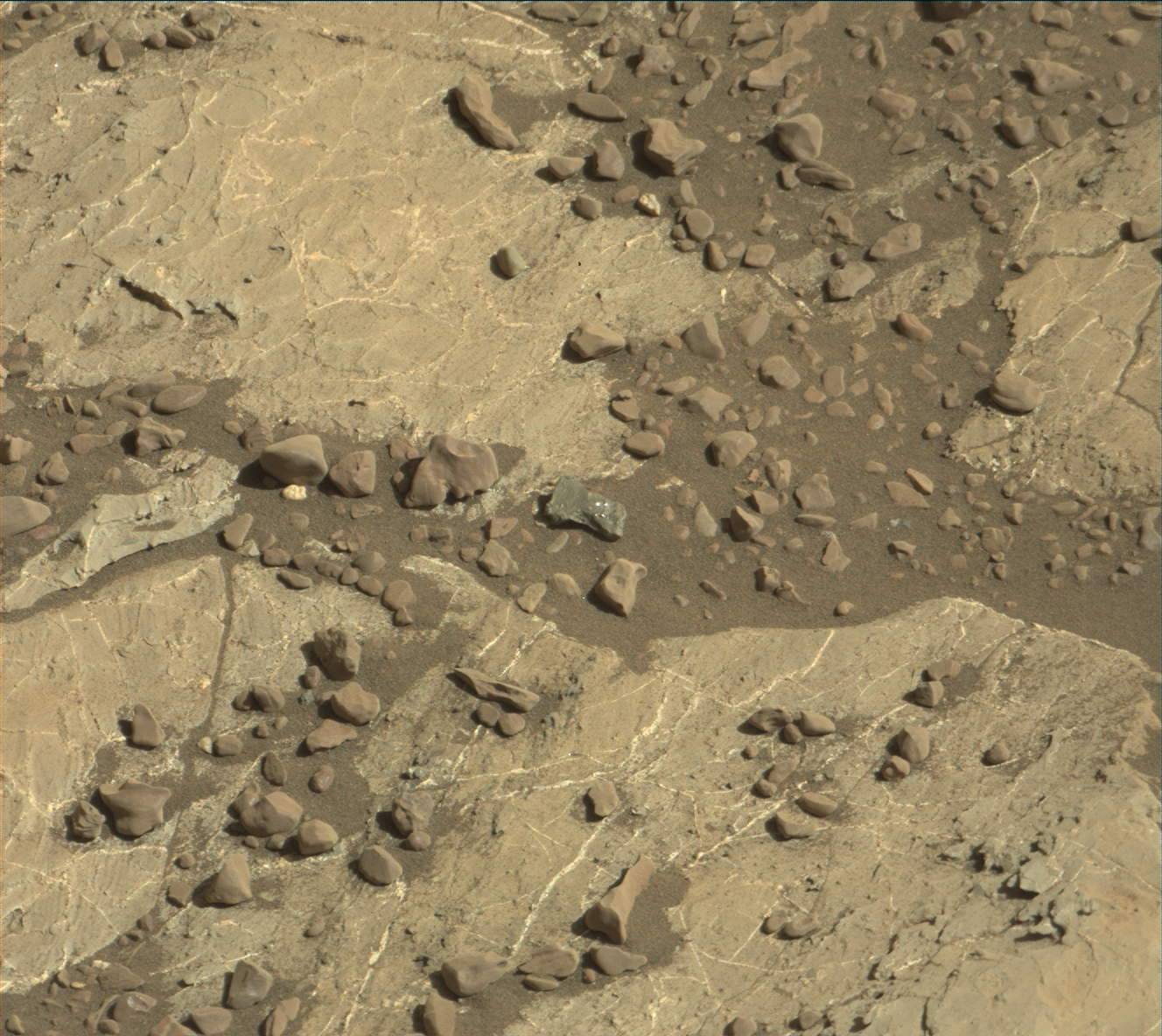 Nasa's Mars rover Curiosity acquired this image using its Mast Camera (Mastcam) on Sol 1981