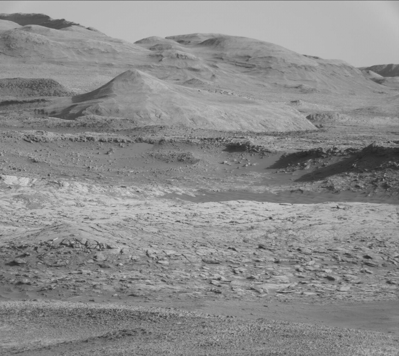 Nasa's Mars rover Curiosity acquired this image using its Mast Camera (Mastcam) on Sol 1981