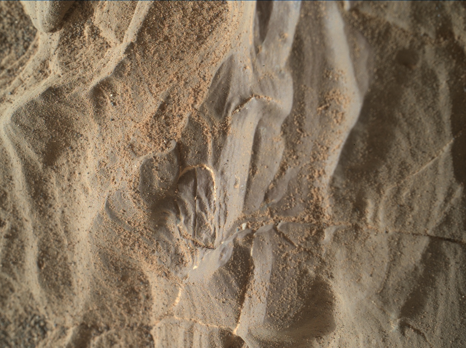 Nasa's Mars rover Curiosity acquired this image using its Mars Hand Lens Imager (MAHLI) on Sol 1988