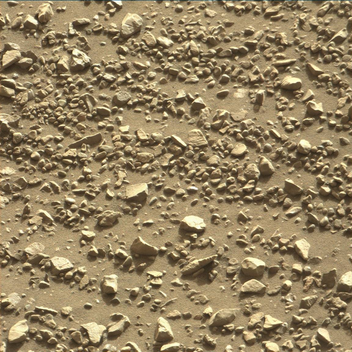 Nasa's Mars rover Curiosity acquired this image using its Mast Camera (Mastcam) on Sol 1989