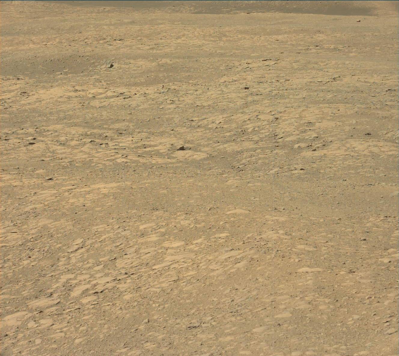 Nasa's Mars rover Curiosity acquired this image using its Mast Camera (Mastcam) on Sol 1991