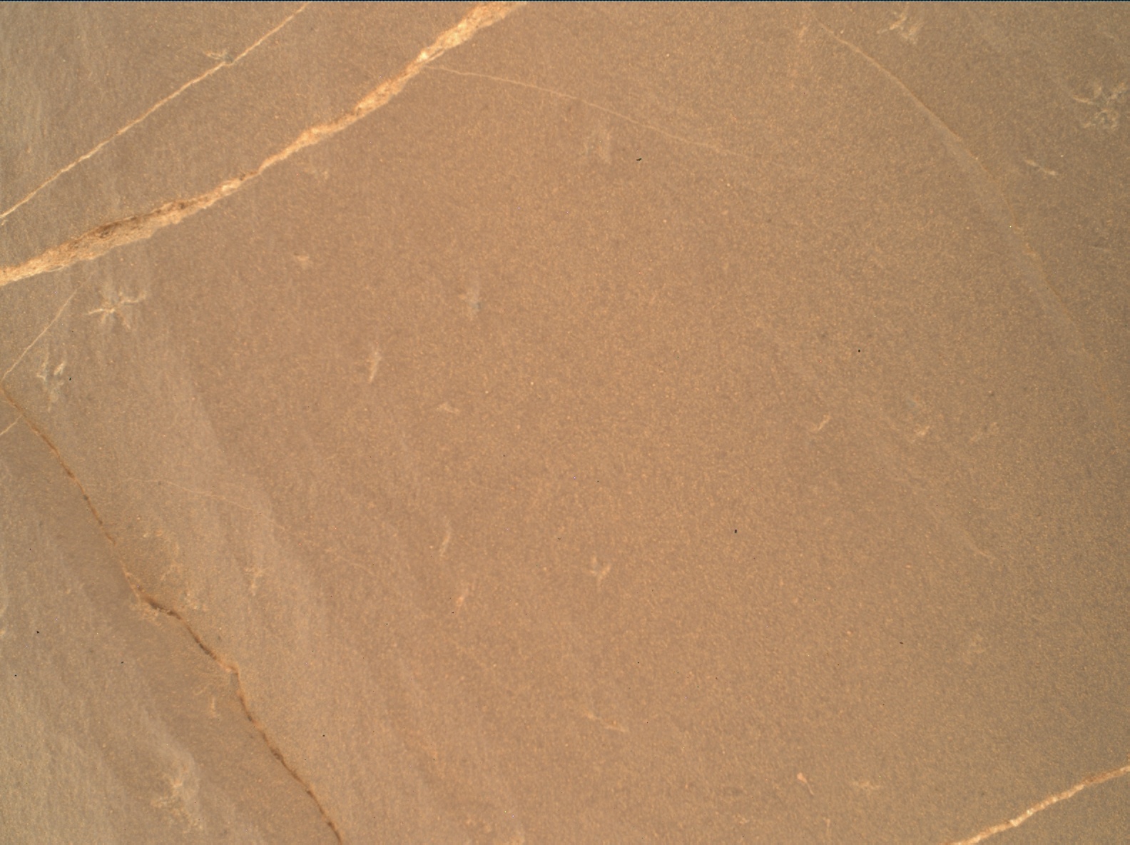 Nasa's Mars rover Curiosity acquired this image using its Mars Hand Lens Imager (MAHLI) on Sol 1991