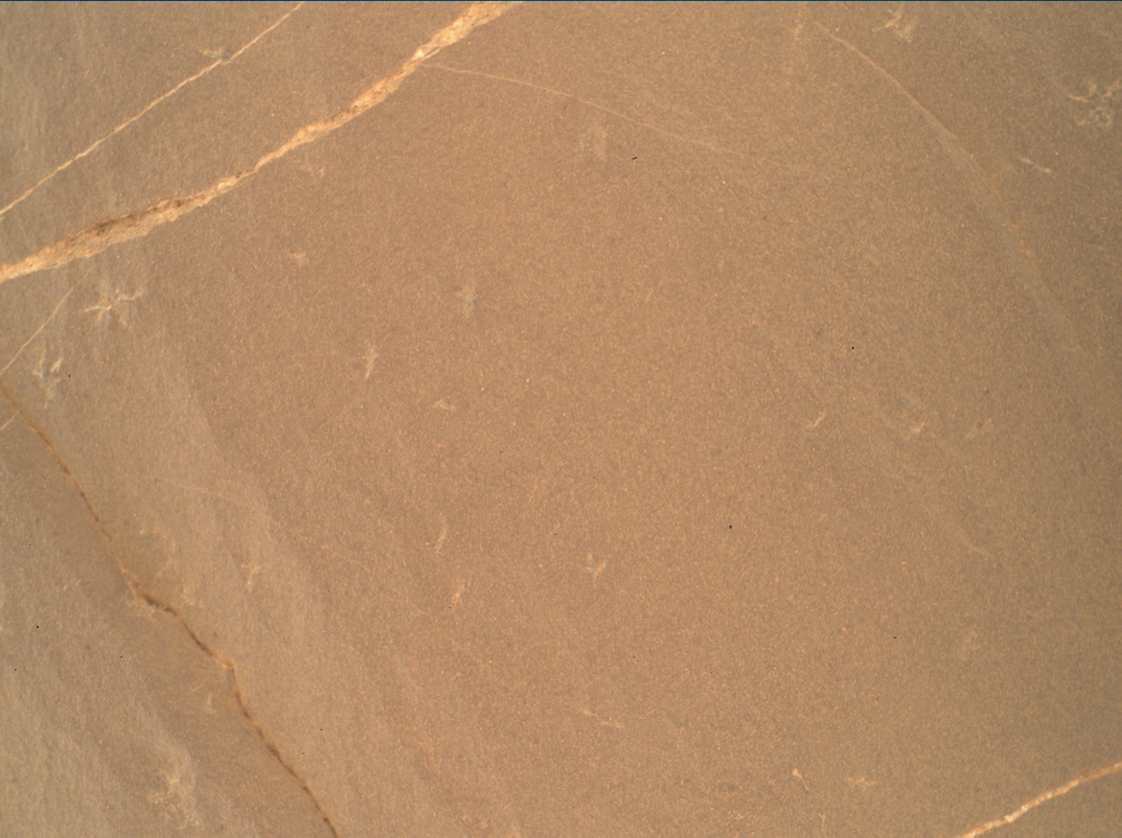 Nasa's Mars rover Curiosity acquired this image using its Mars Hand Lens Imager (MAHLI) on Sol 1991