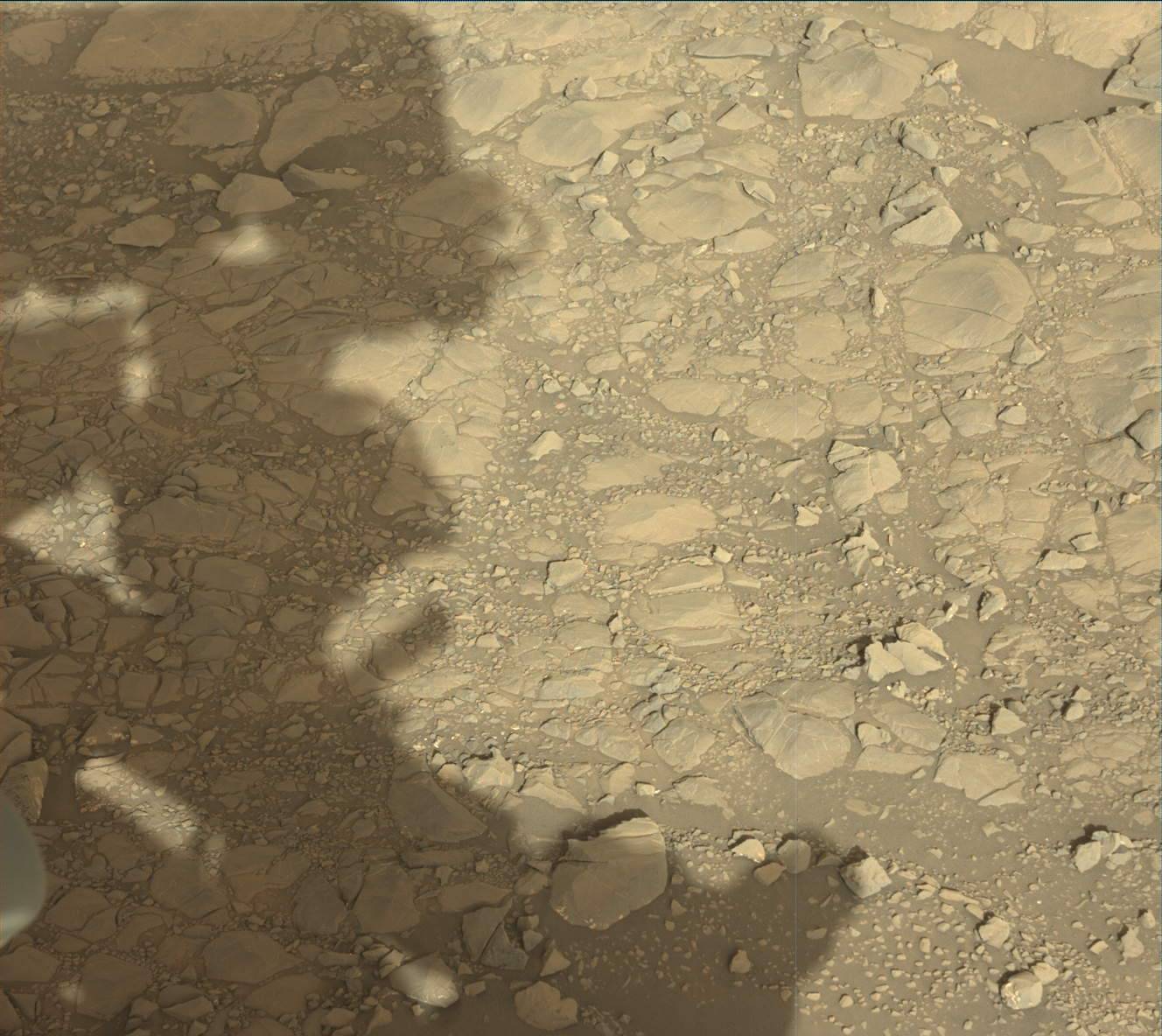 Nasa's Mars rover Curiosity acquired this image using its Mast Camera (Mastcam) on Sol 1993