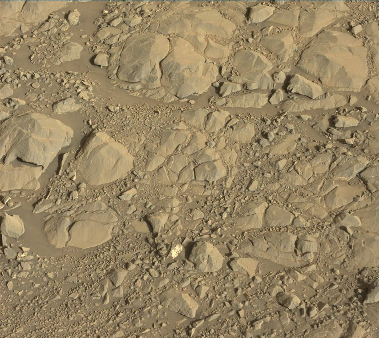 Nasa's Mars rover Curiosity acquired this image using its Mast Camera (Mastcam) on Sol 1993