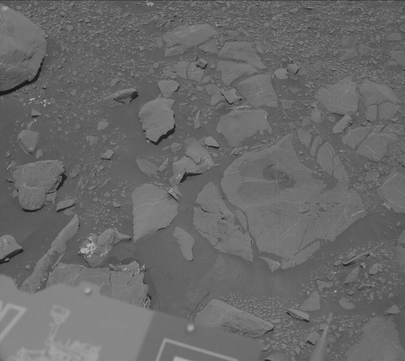 Nasa's Mars rover Curiosity acquired this image using its Mast Camera (Mastcam) on Sol 1996