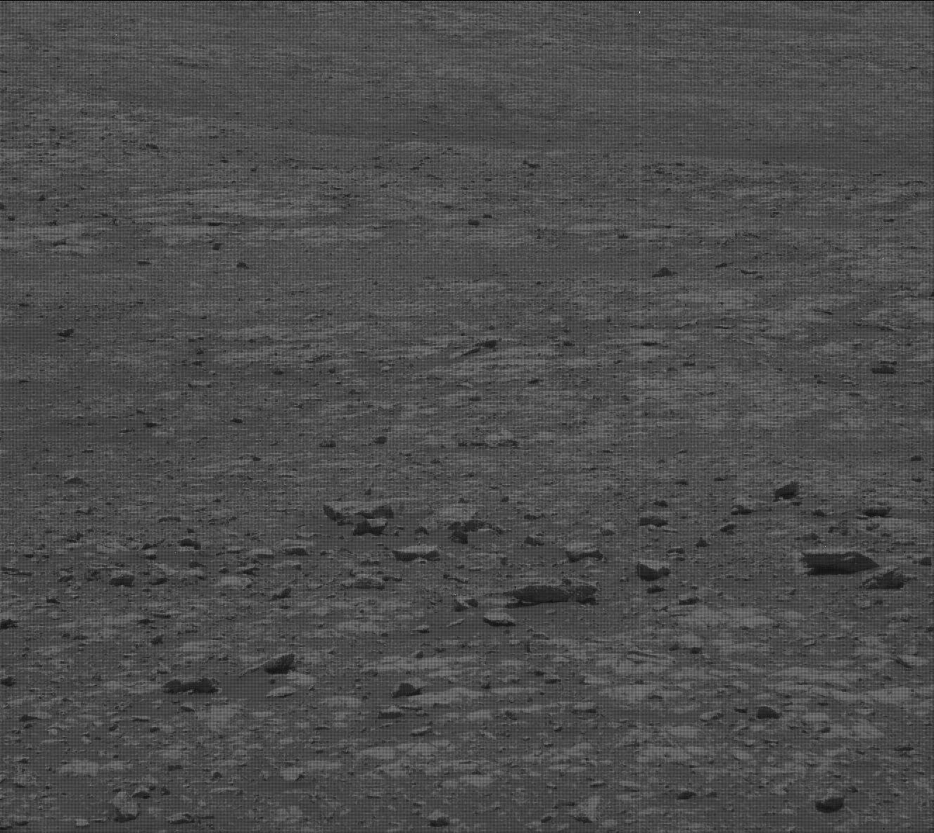 Nasa's Mars rover Curiosity acquired this image using its Mast Camera (Mastcam) on Sol 2000