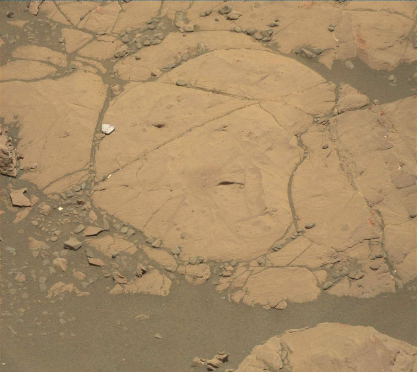 Nasa's Mars rover Curiosity acquired this image using its Mast Camera (Mastcam) on Sol 2000