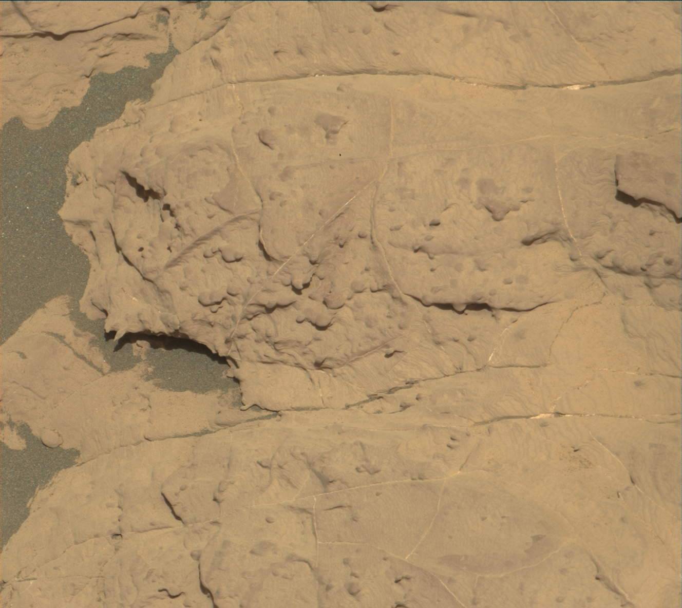 Nasa's Mars rover Curiosity acquired this image using its Mast Camera (Mastcam) on Sol 2002