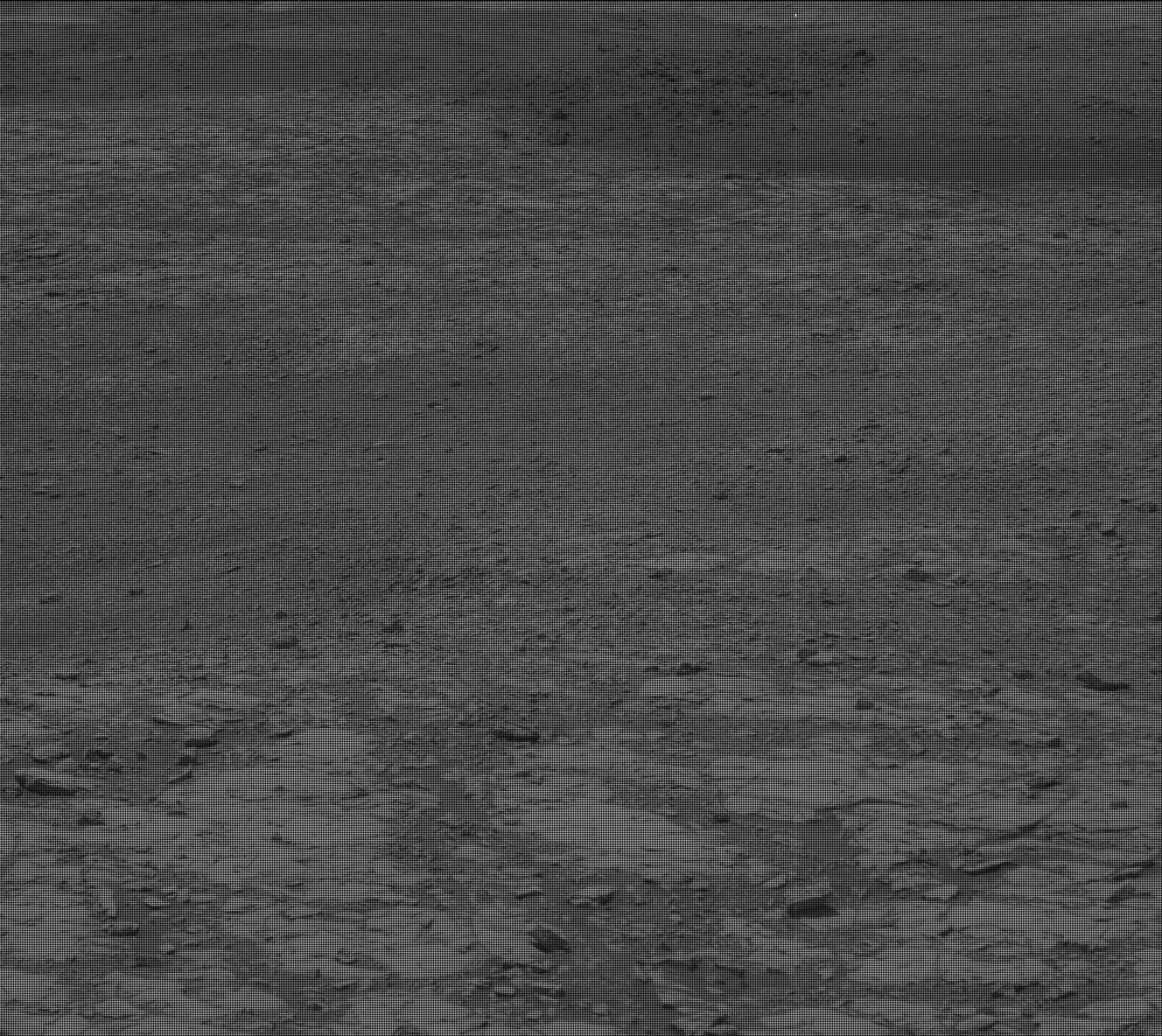 Nasa's Mars rover Curiosity acquired this image using its Mast Camera (Mastcam) on Sol 2006