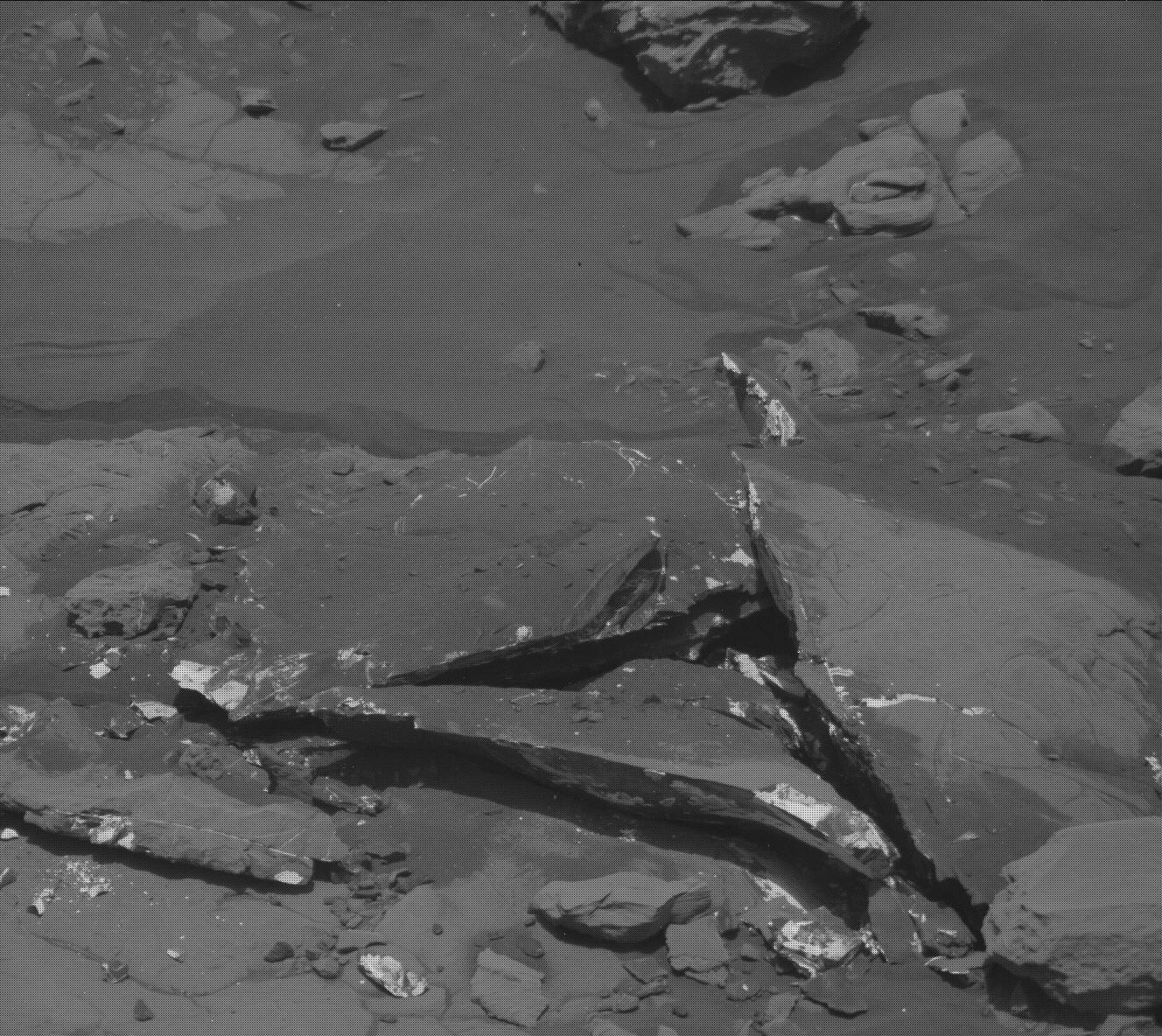 Nasa's Mars rover Curiosity acquired this image using its Mast Camera (Mastcam) on Sol 2007