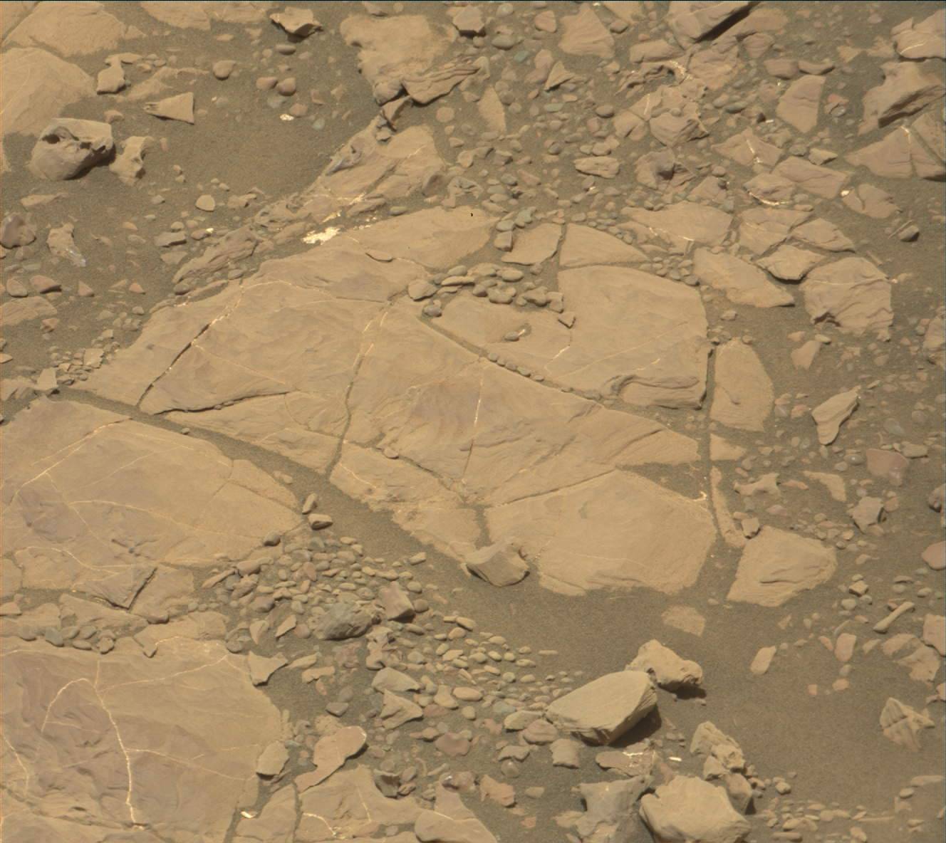 Nasa's Mars rover Curiosity acquired this image using its Mast Camera (Mastcam) on Sol 2008