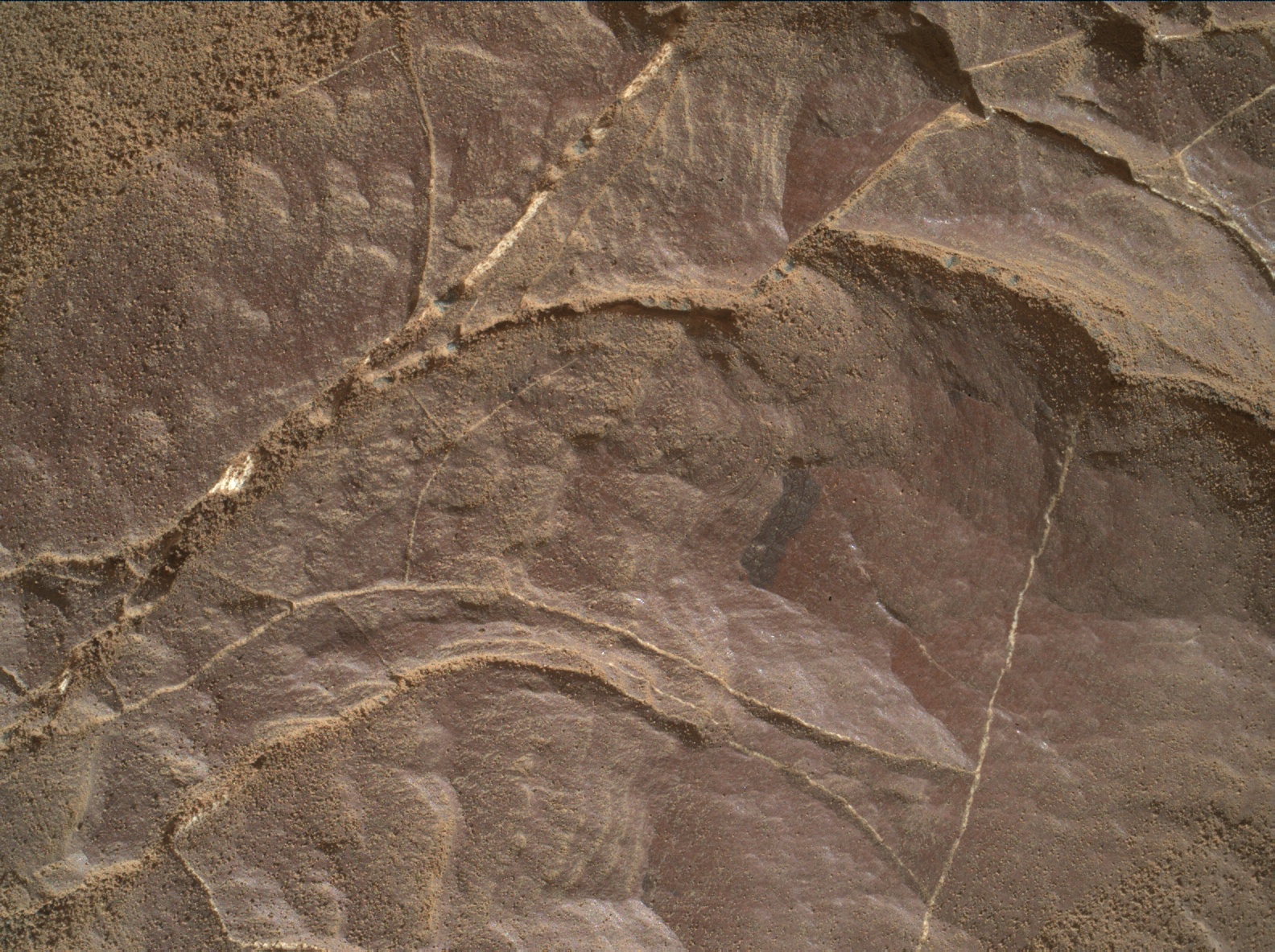 Nasa's Mars rover Curiosity acquired this image using its Mars Hand Lens Imager (MAHLI) on Sol 2008
