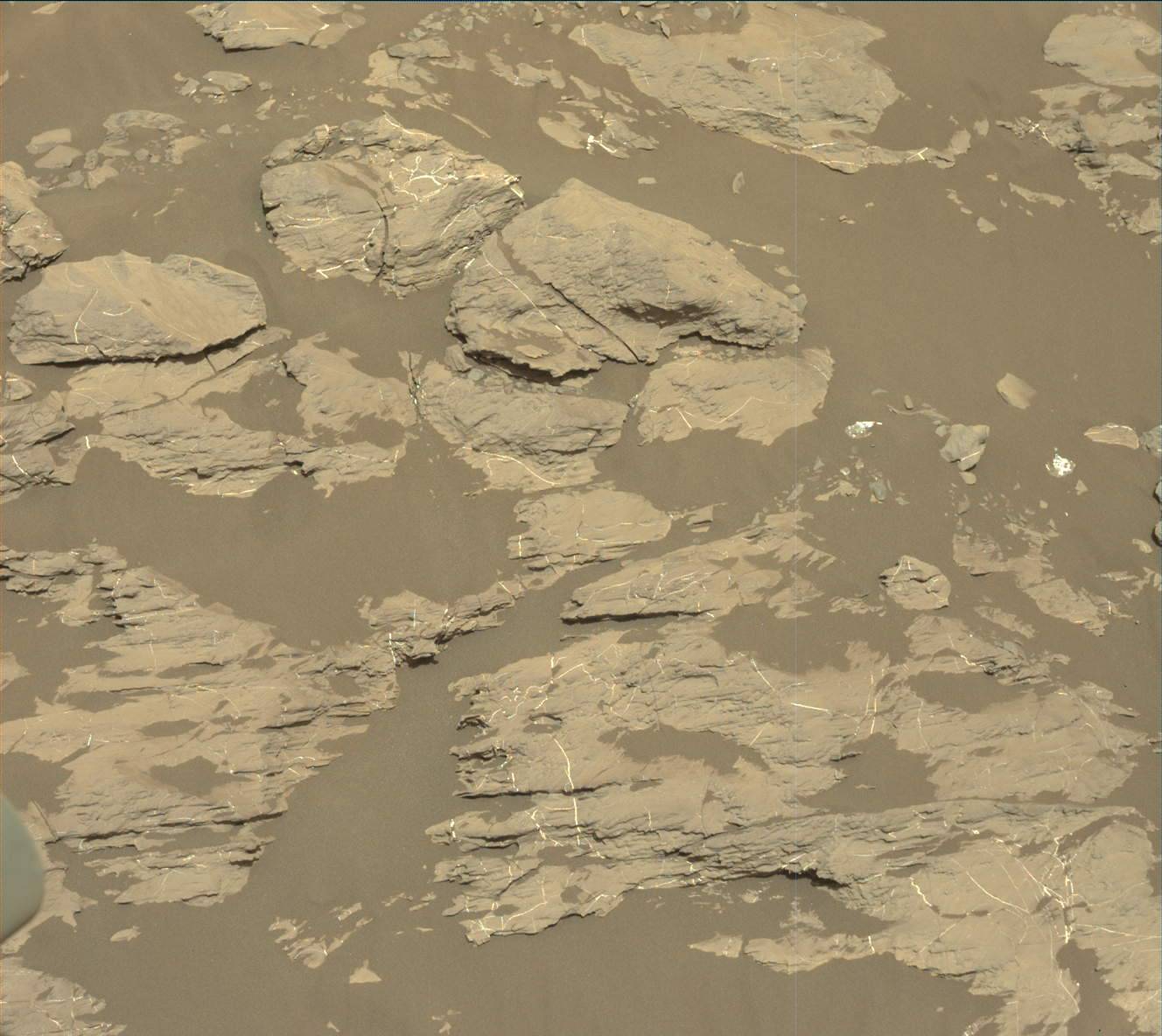 Nasa's Mars rover Curiosity acquired this image using its Mast Camera (Mastcam) on Sol 2009