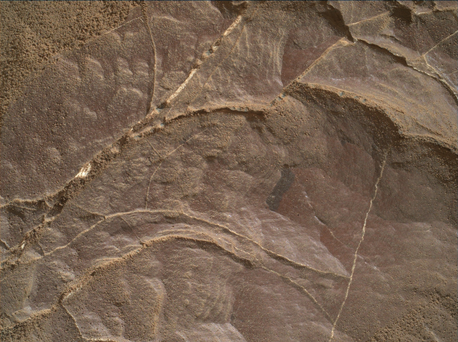 Nasa's Mars rover Curiosity acquired this image using its Mars Hand Lens Imager (MAHLI) on Sol 2009