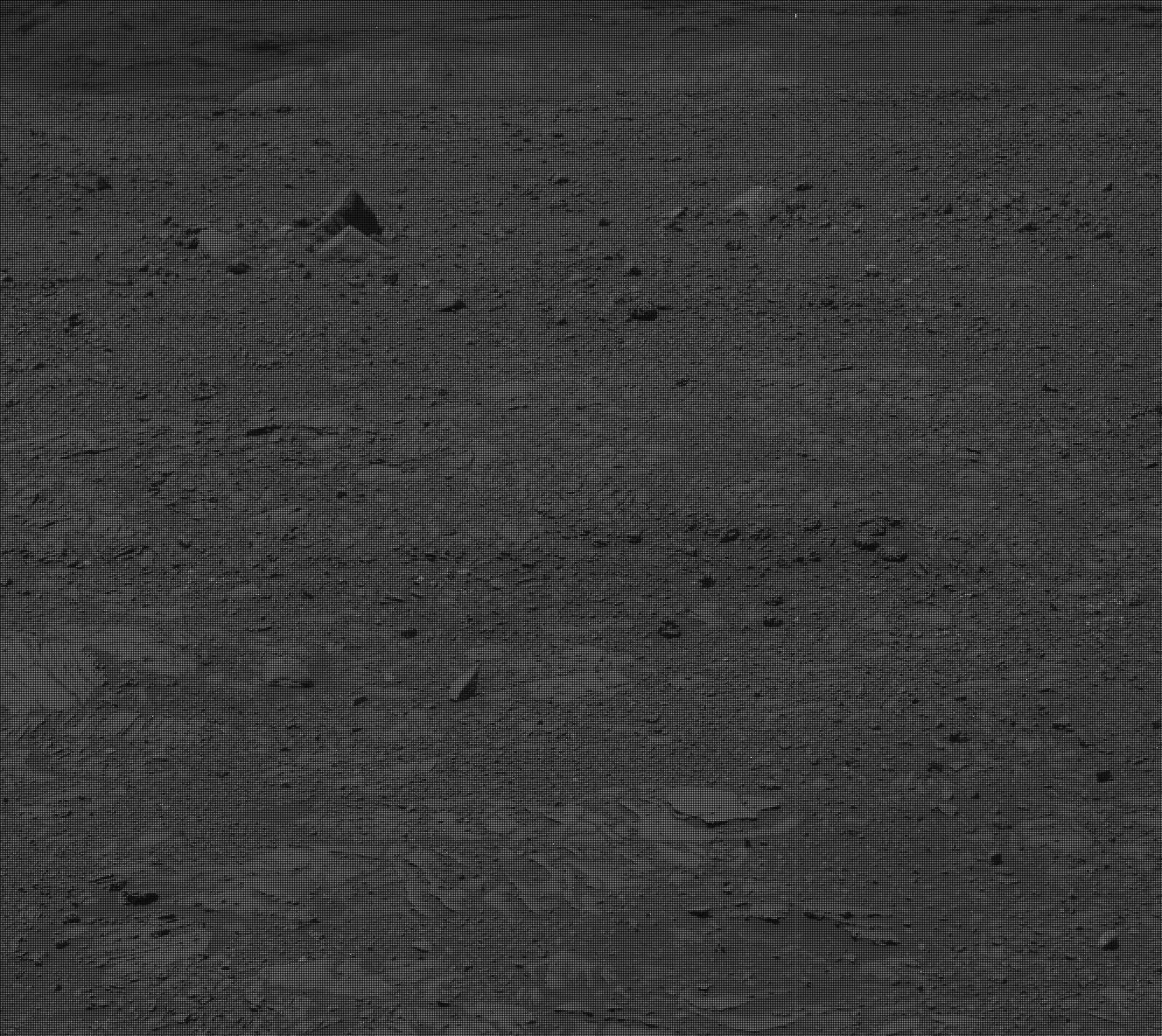 Nasa's Mars rover Curiosity acquired this image using its Mast Camera (Mastcam) on Sol 2013