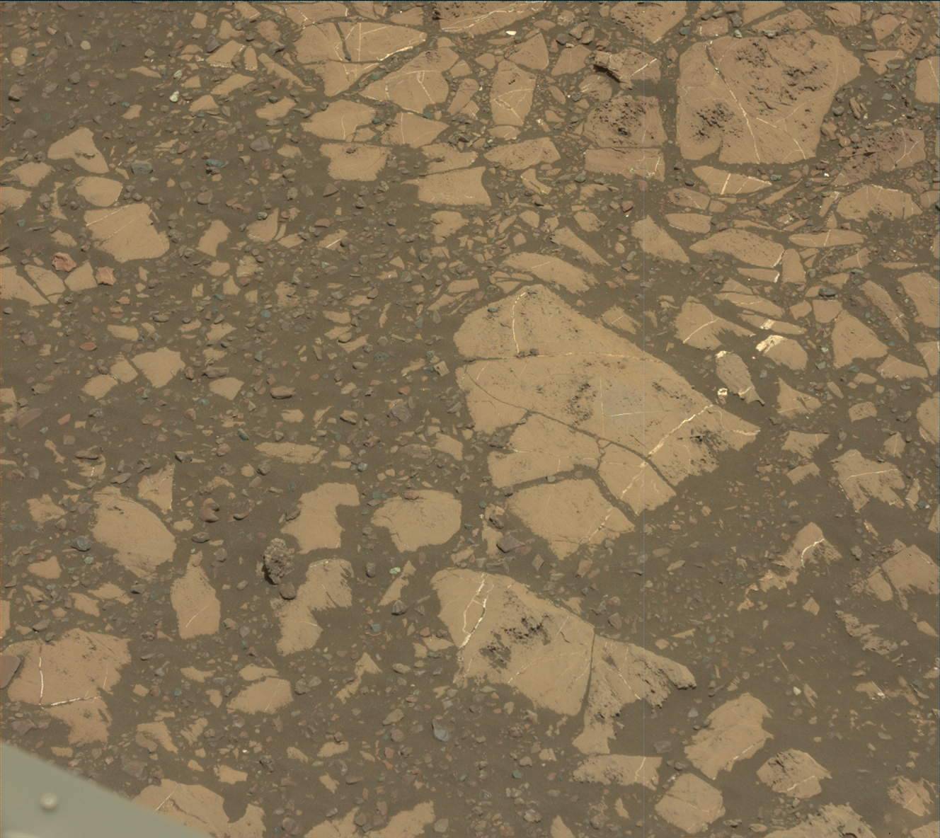 Nasa's Mars rover Curiosity acquired this image using its Mast Camera (Mastcam) on Sol 2014