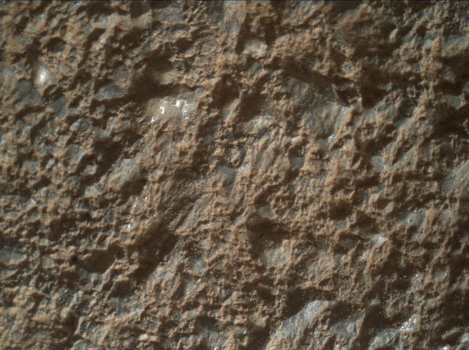 Nasa's Mars rover Curiosity acquired this image using its Mars Hand Lens Imager (MAHLI) on Sol 2022