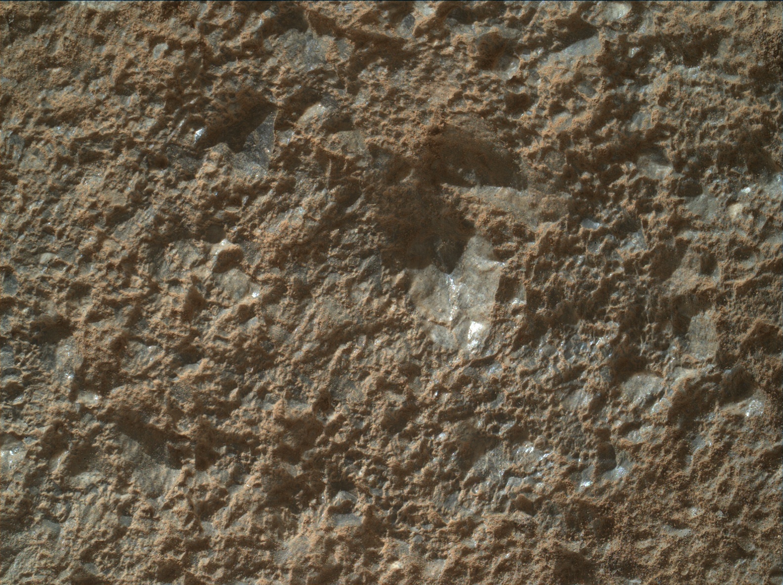Nasa's Mars rover Curiosity acquired this image using its Mars Hand Lens Imager (MAHLI) on Sol 2023