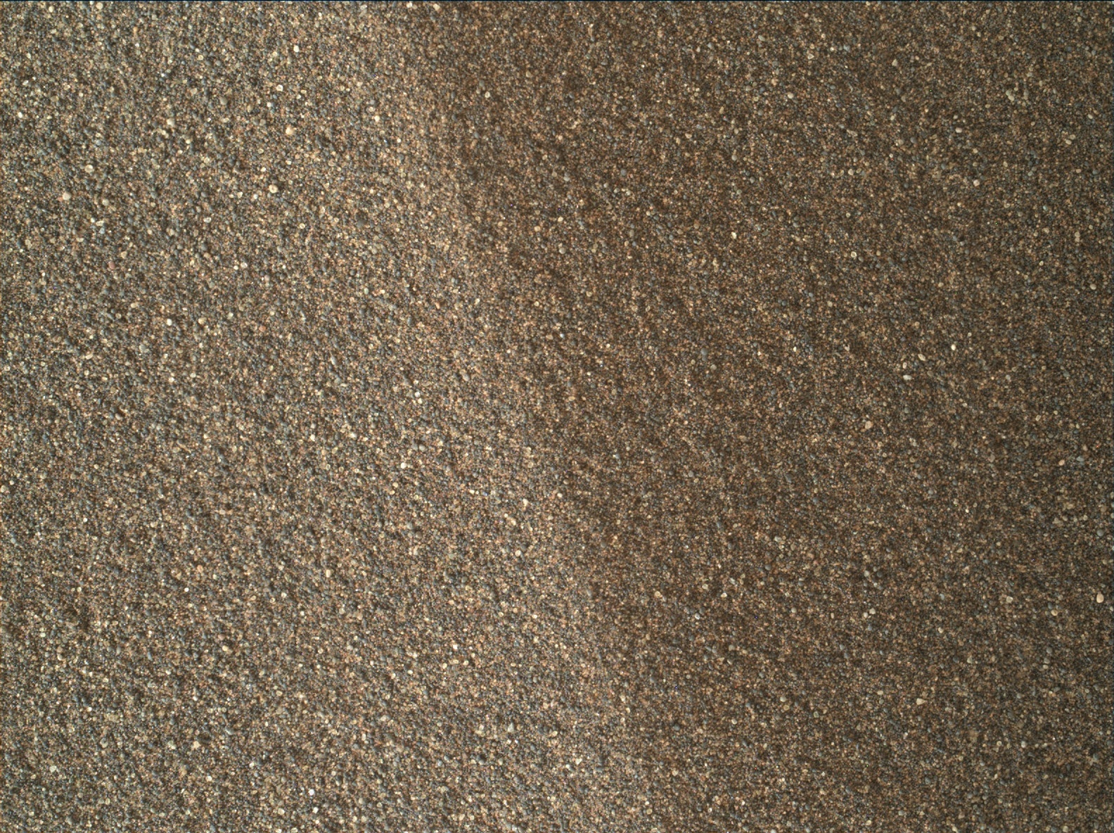 Nasa's Mars rover Curiosity acquired this image using its Mars Hand Lens Imager (MAHLI) on Sol 2026