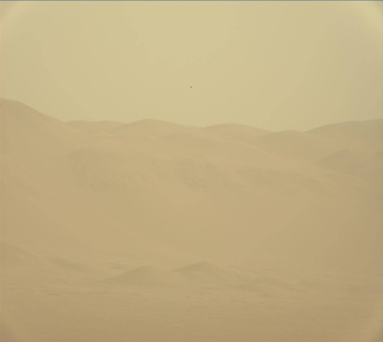 Nasa's Mars rover Curiosity acquired this image using its Mast Camera (Mastcam) on Sol 2031