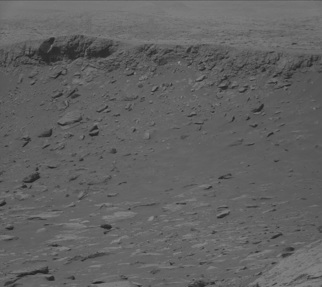 Nasa's Mars rover Curiosity acquired this image using its Mast Camera (Mastcam) on Sol 2038