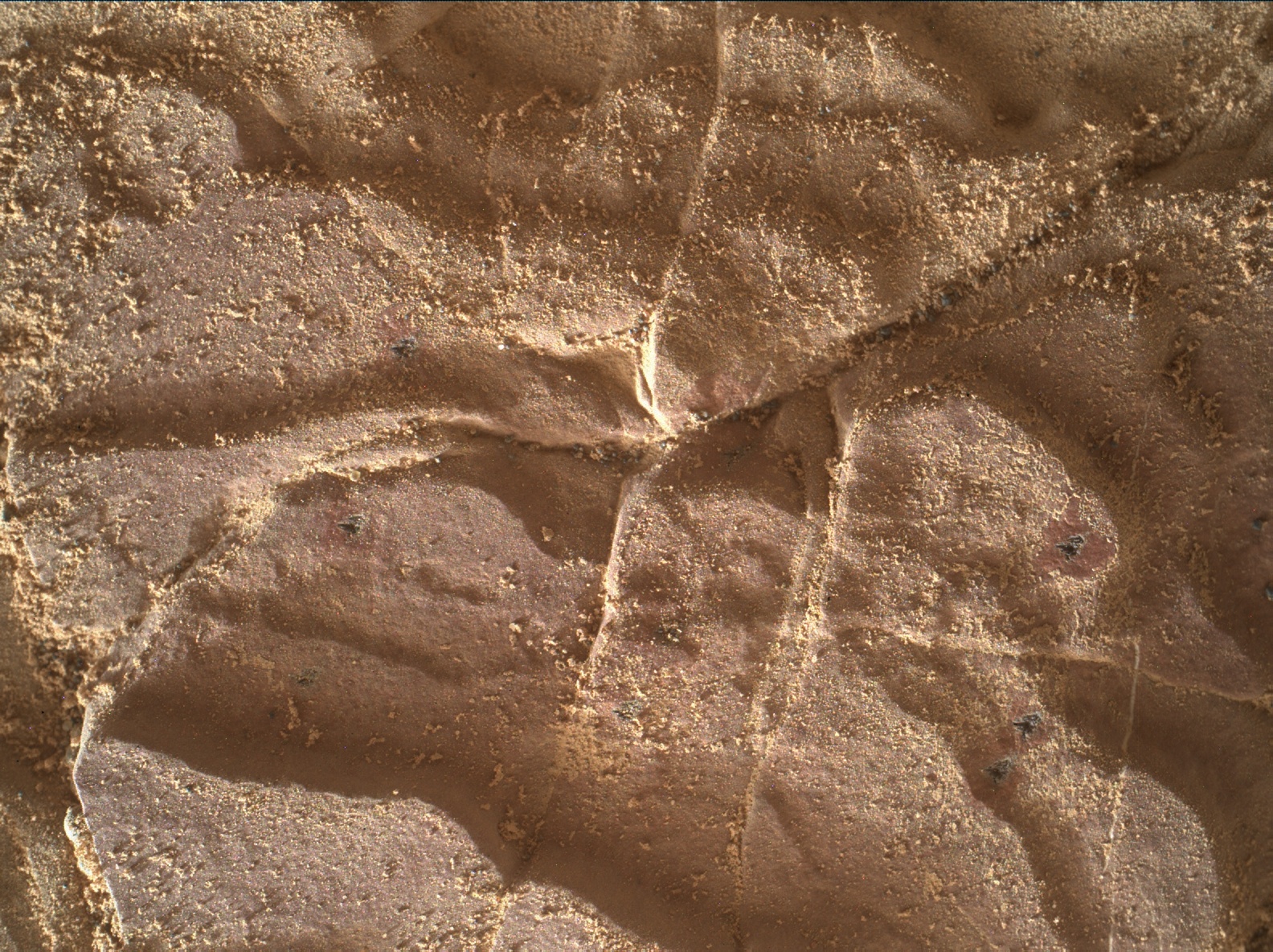 Nasa's Mars rover Curiosity acquired this image using its Mars Hand Lens Imager (MAHLI) on Sol 2038