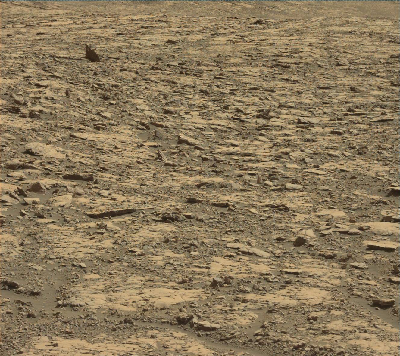 Nasa's Mars rover Curiosity acquired this image using its Mast Camera (Mastcam) on Sol 2039