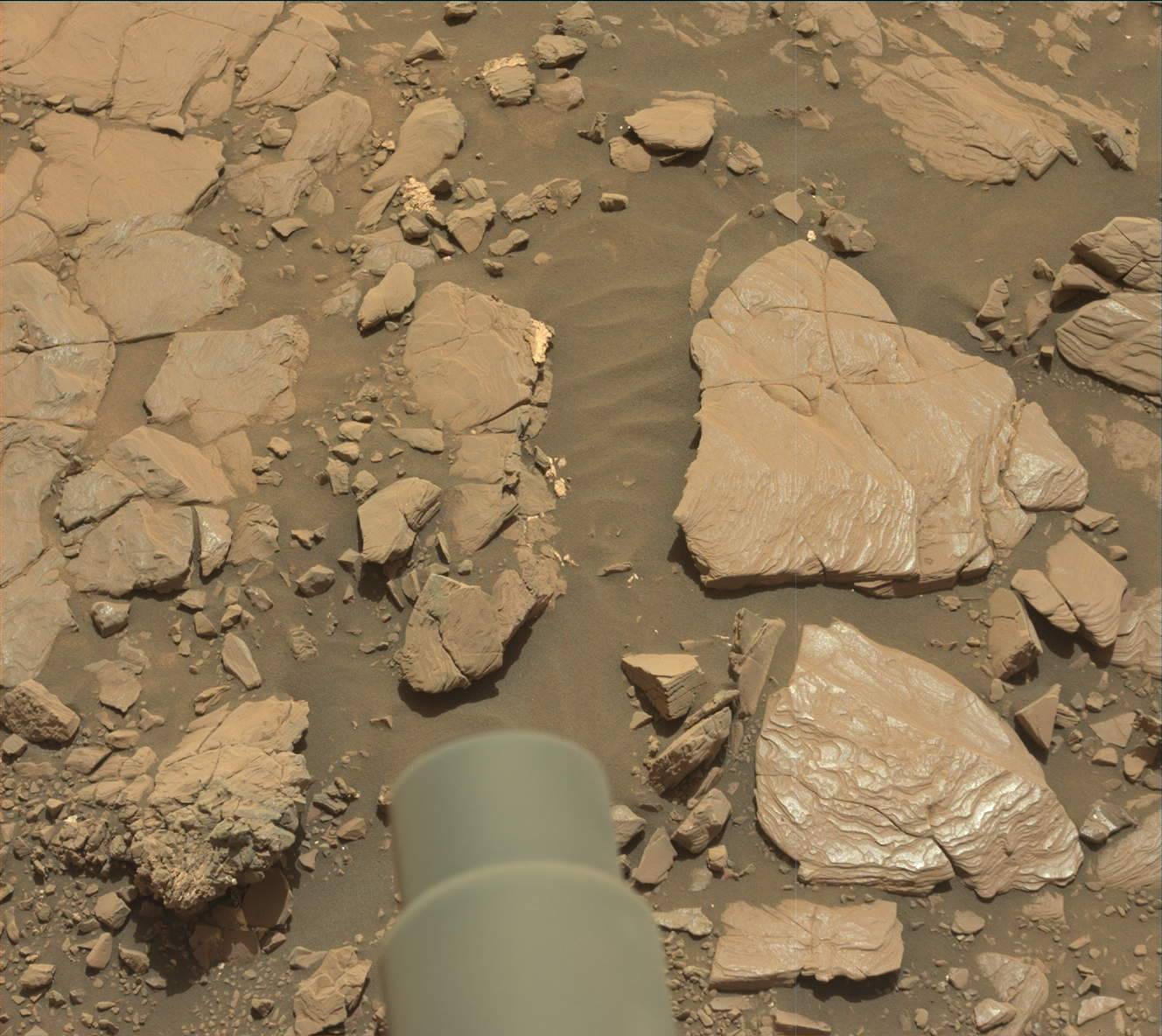 Nasa's Mars rover Curiosity acquired this image using its Mast Camera (Mastcam) on Sol 2041
