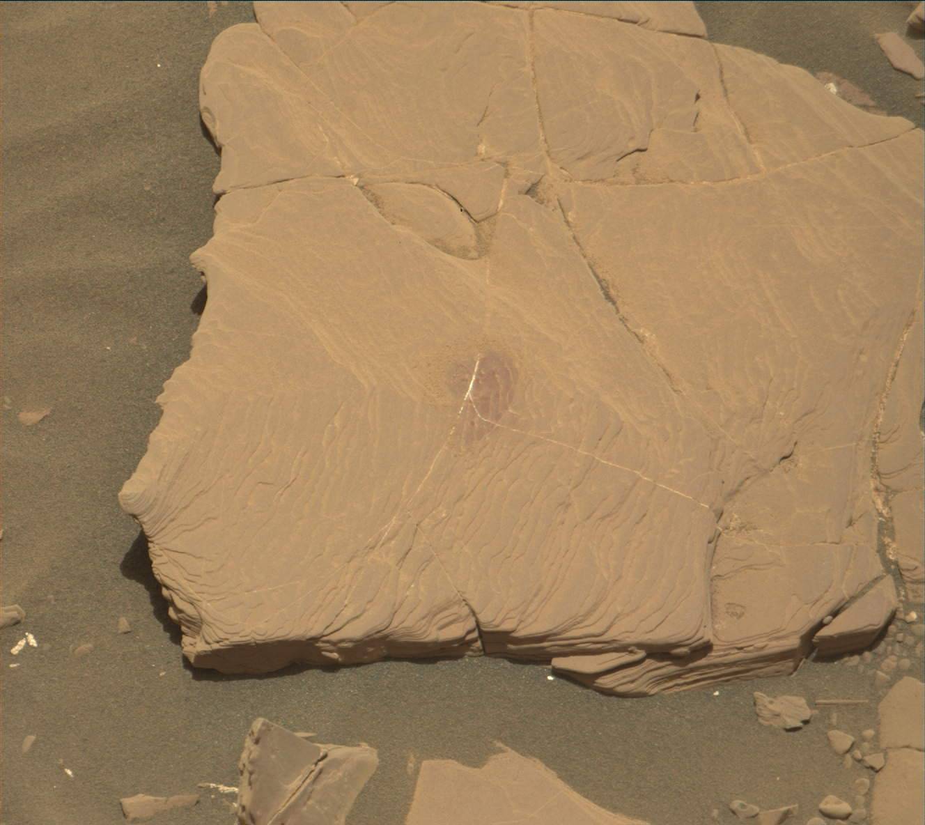 Nasa's Mars rover Curiosity acquired this image using its Mast Camera (Mastcam) on Sol 2042