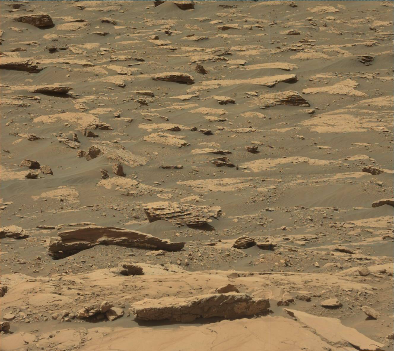Nasa's Mars rover Curiosity acquired this image using its Mast Camera (Mastcam) on Sol 2044