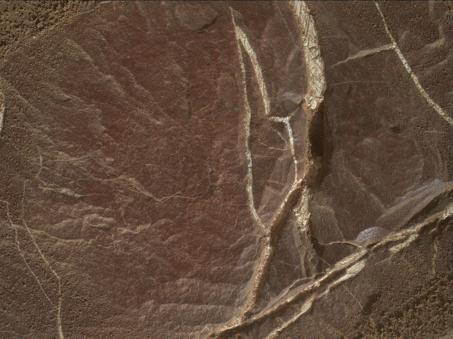 Nasa's Mars rover Curiosity acquired this image using its Mars Hand Lens Imager (MAHLI) on Sol 2044
