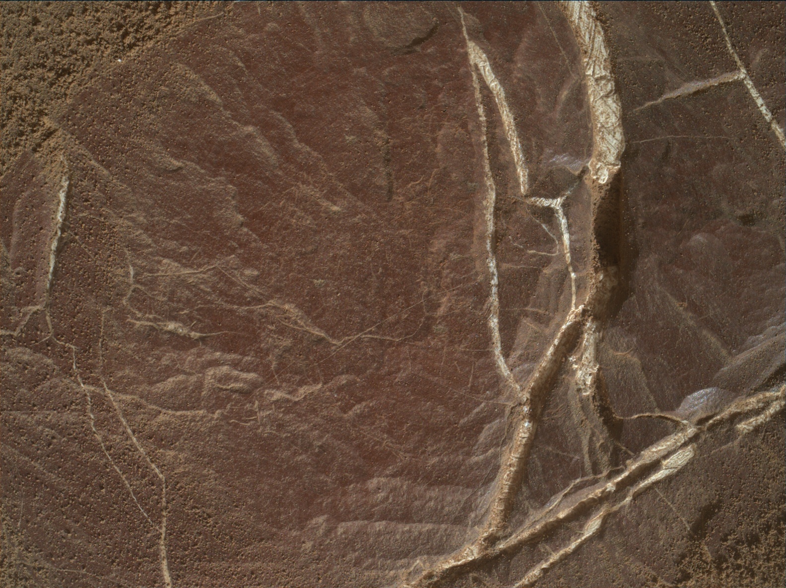 Nasa's Mars rover Curiosity acquired this image using its Mars Hand Lens Imager (MAHLI) on Sol 2044