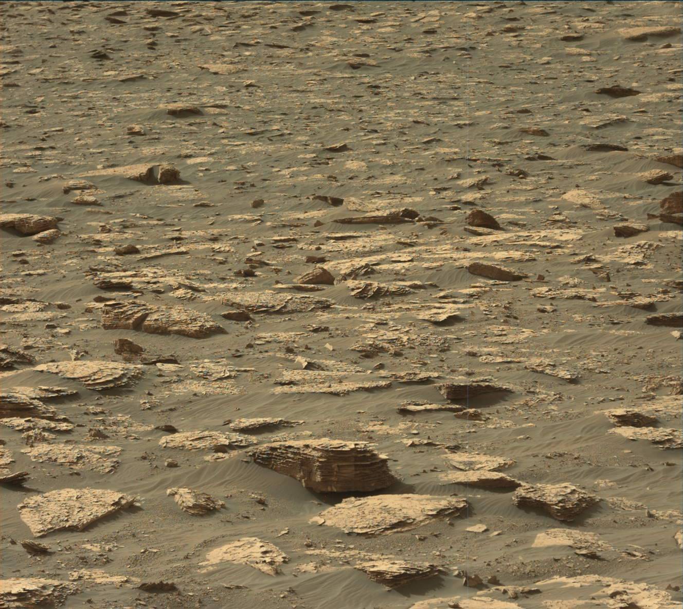 Nasa's Mars rover Curiosity acquired this image using its Mast Camera (Mastcam) on Sol 2045